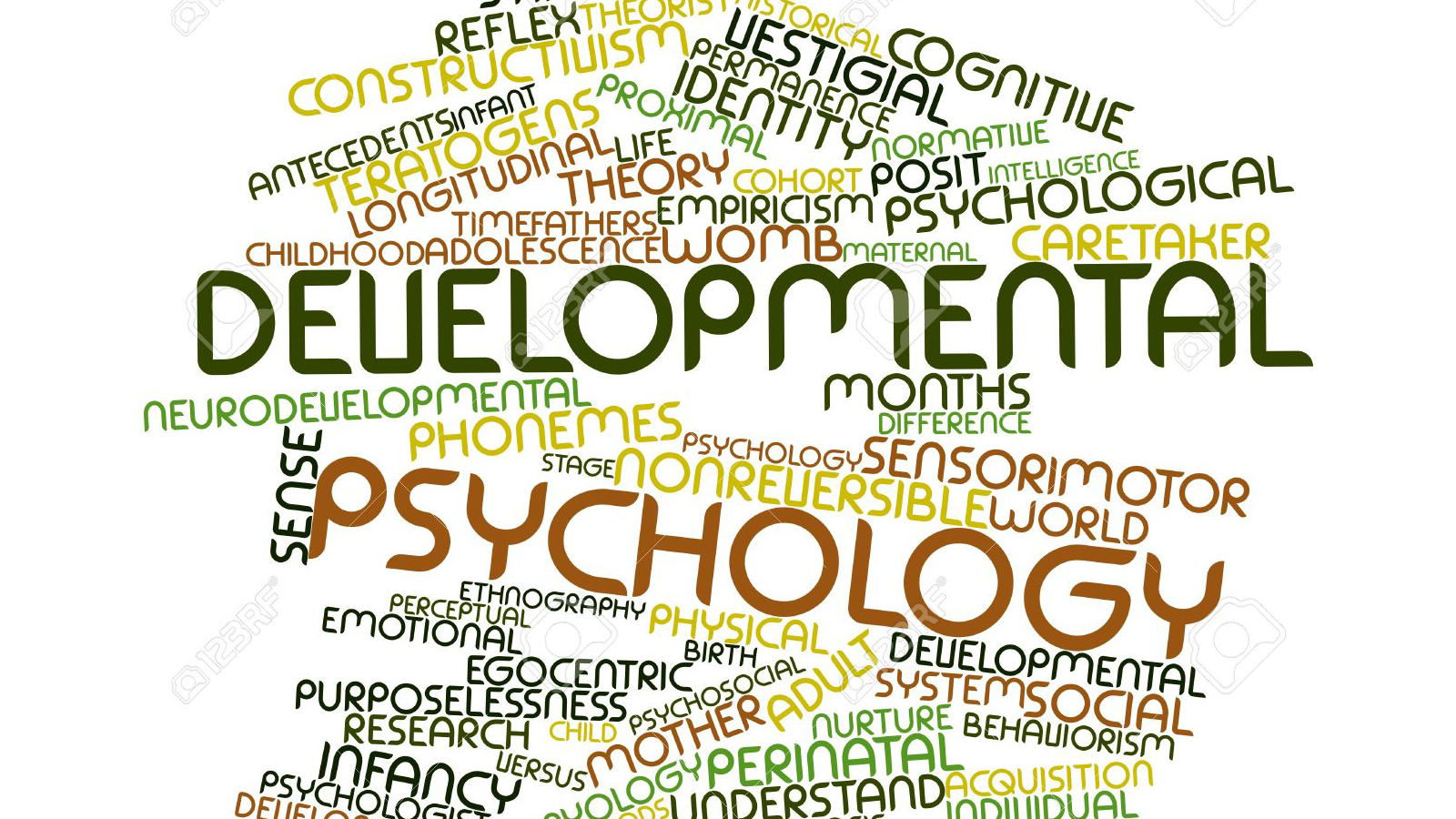 Developmental Psychology and Family Dynamics